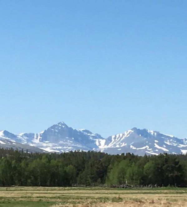 Brendryen Camping — Photo 5