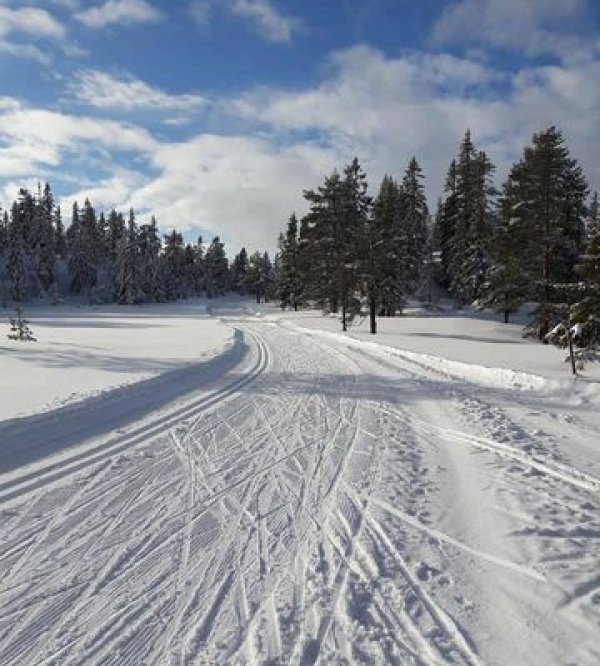 Kilen Camping Telemark — Foto 3