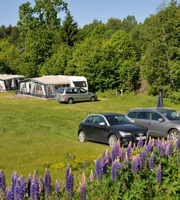 Holmfoss Hytteutleie Og Camping — Photo 2