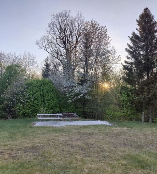 Holmfoss Hytteutleie Og Camping — Photo 4