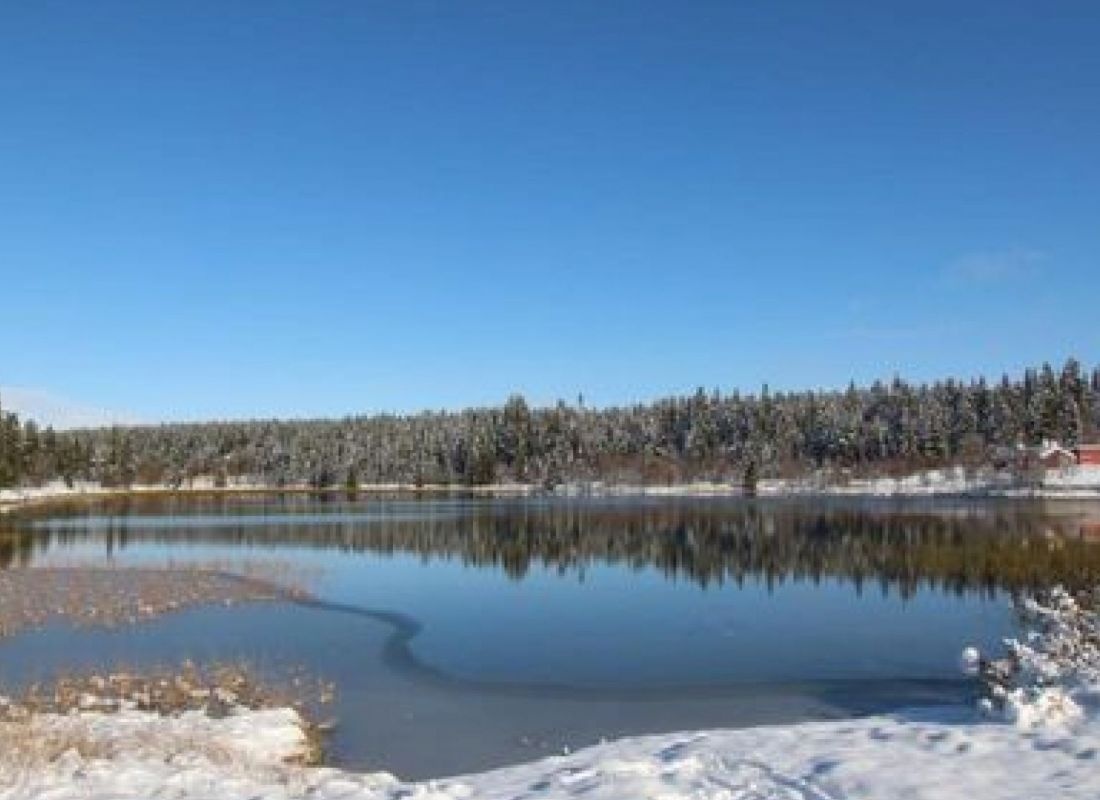 Friisvegen Måsåplassen Mountain Lodge — Kemp in Ringebu