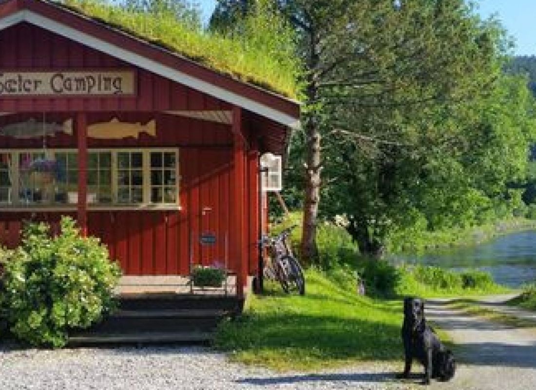 Øvre Sæter Fiskecamp — 露营地 in Øvre Surnadal