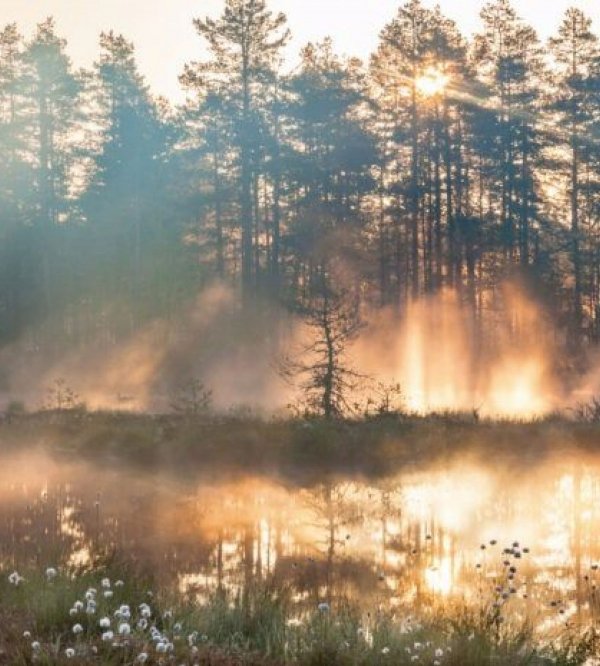 Østnes Camping — Photo 3