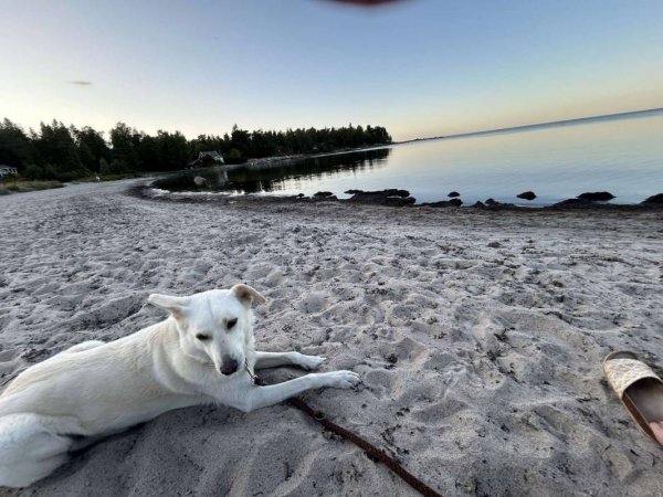 Väddö camping — Foto 4
