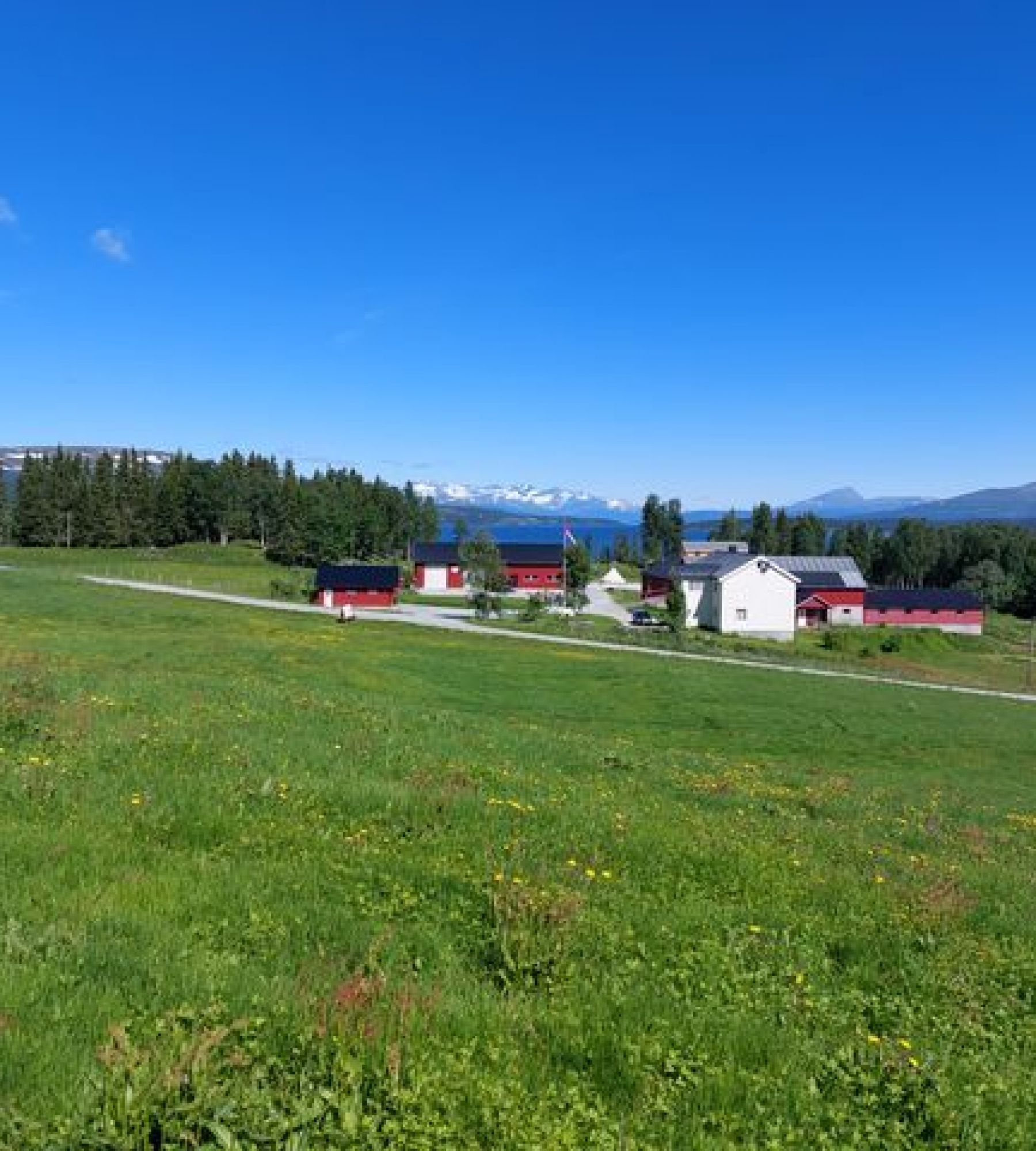 Villmarksgården — Kemping in Hattfjelldal