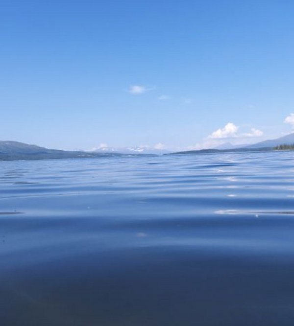 Villmarksgården — Photo 3