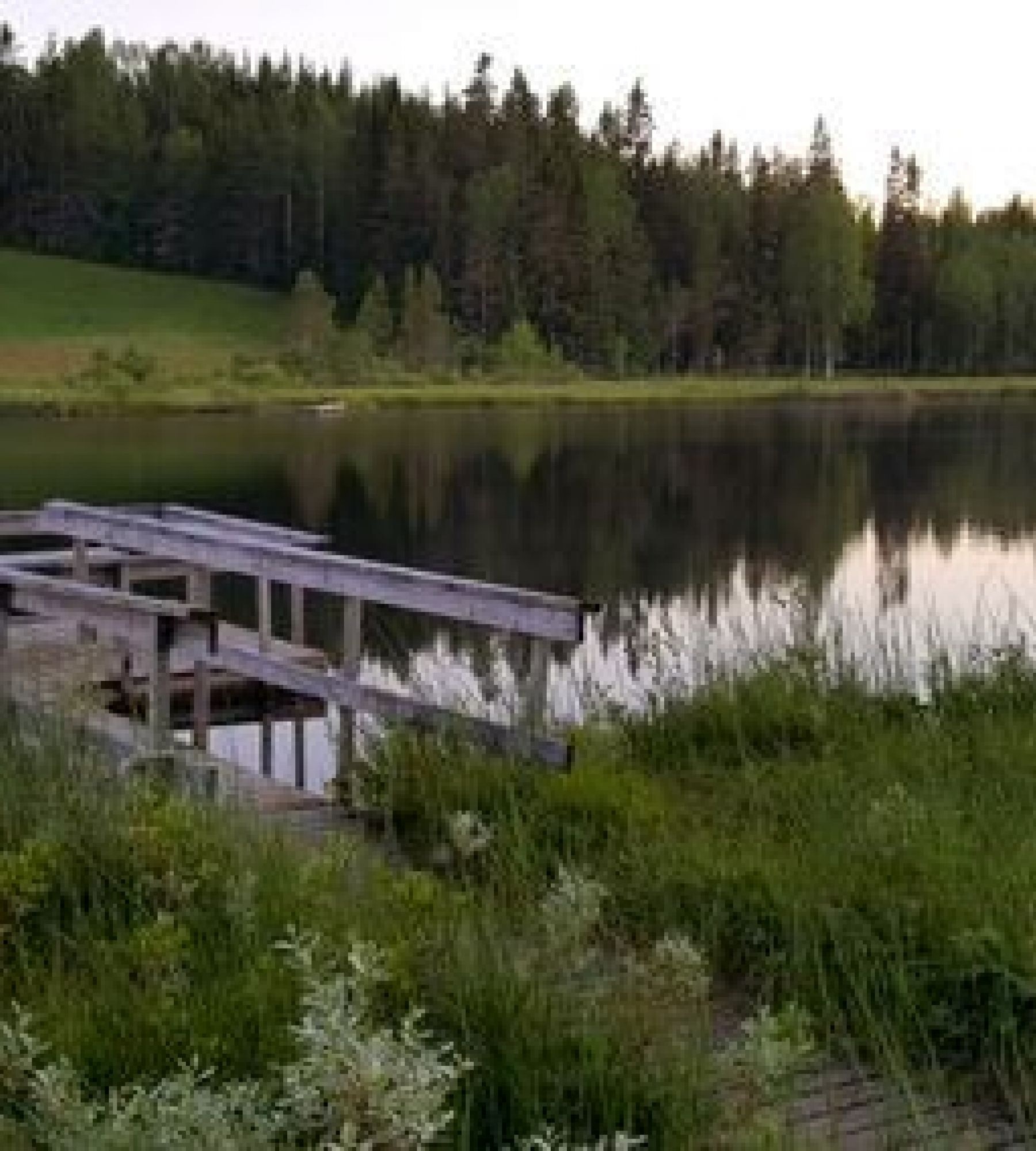 Myckelgensjö Camping — Campingplads in 