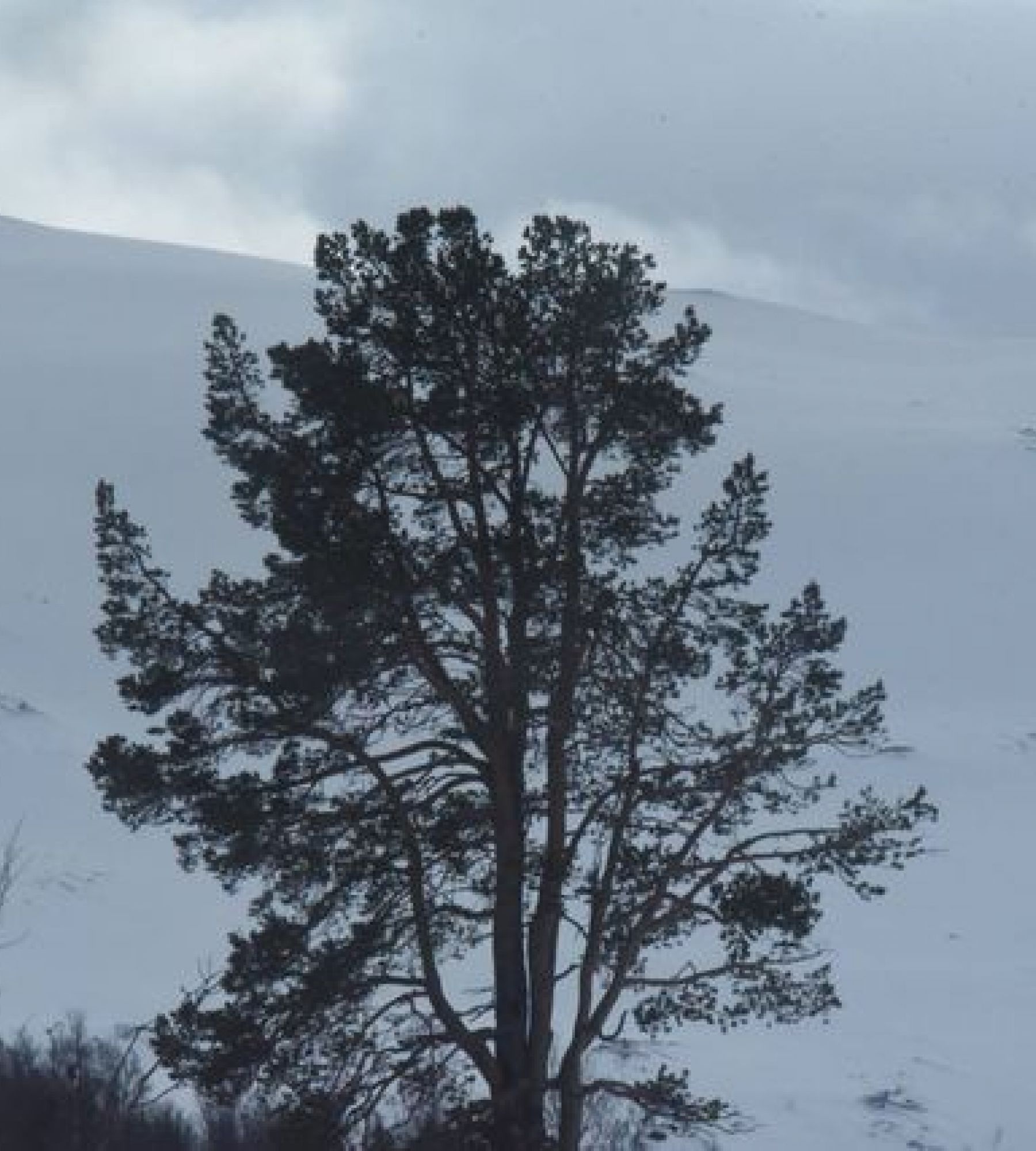 Harpero Camping — Kemping in Nordfjordeid