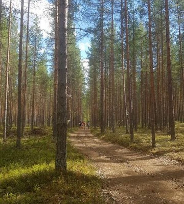 Notåvallens camping