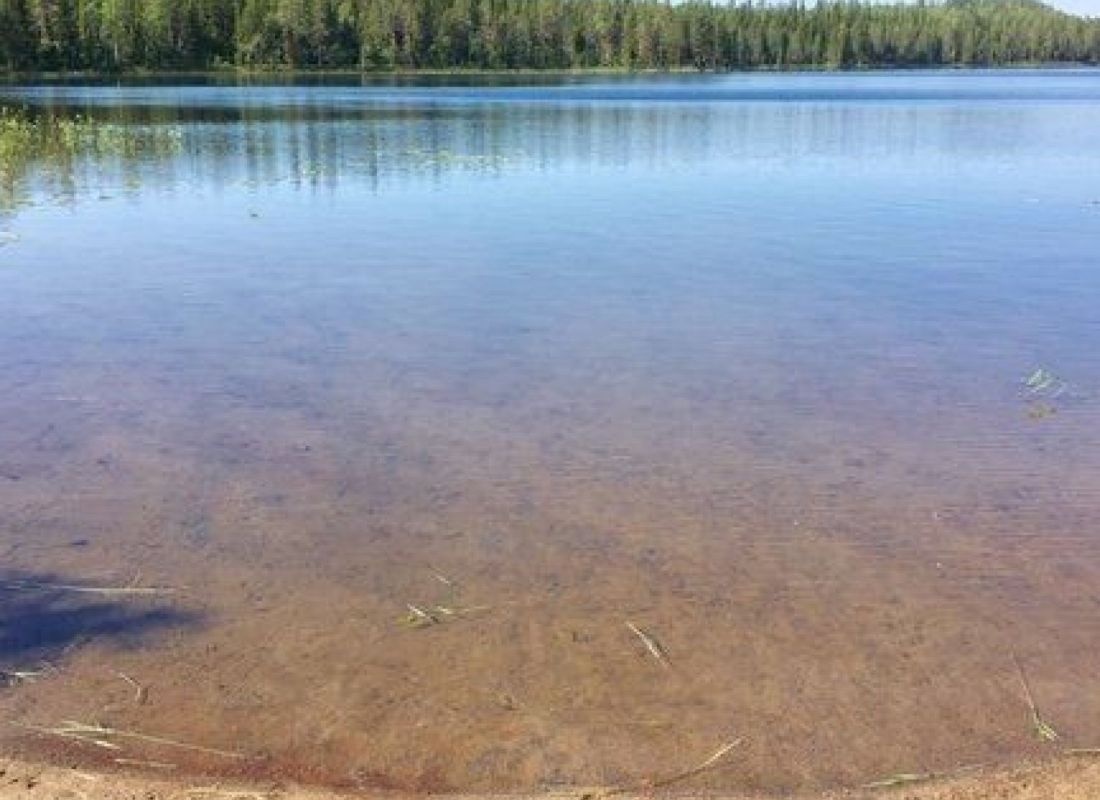 Vildmarkscamp Stora Stenträsk — Cámping in 