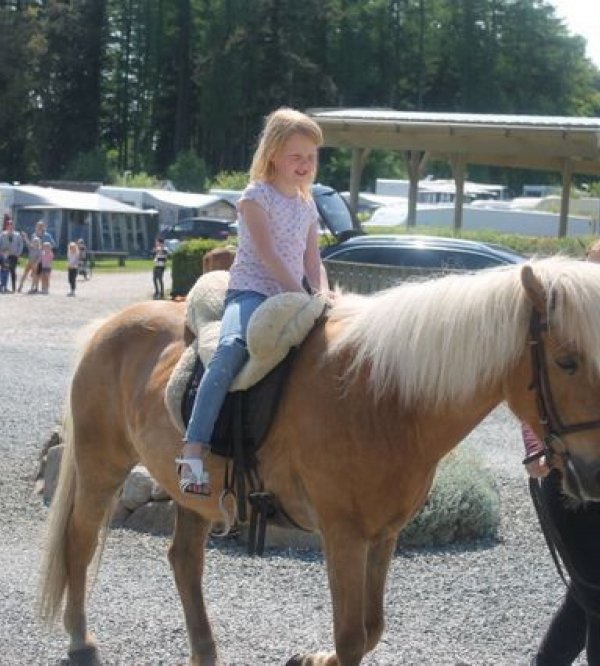 Askehøj Camping — Foto 6