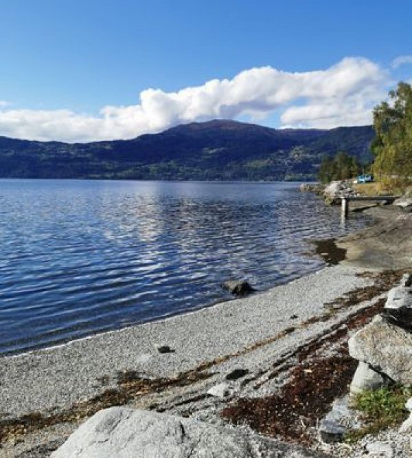 Innvik Fjordcamp — Photo 4