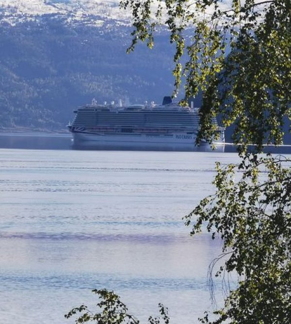 Innvik Fjordcamp — Foto 3