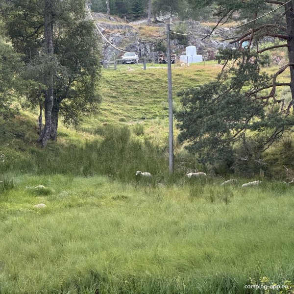 Klepp Camping — Photo 6