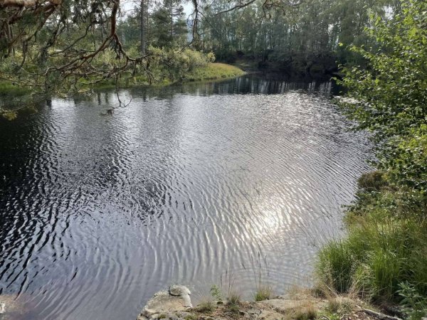 Klepp Camping — Photo 2