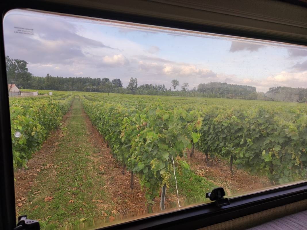 Cognac Peyrot François — Vineri in Mainxe-Gondeville