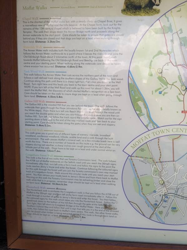 The Greenfrog — Camping in Moffat 