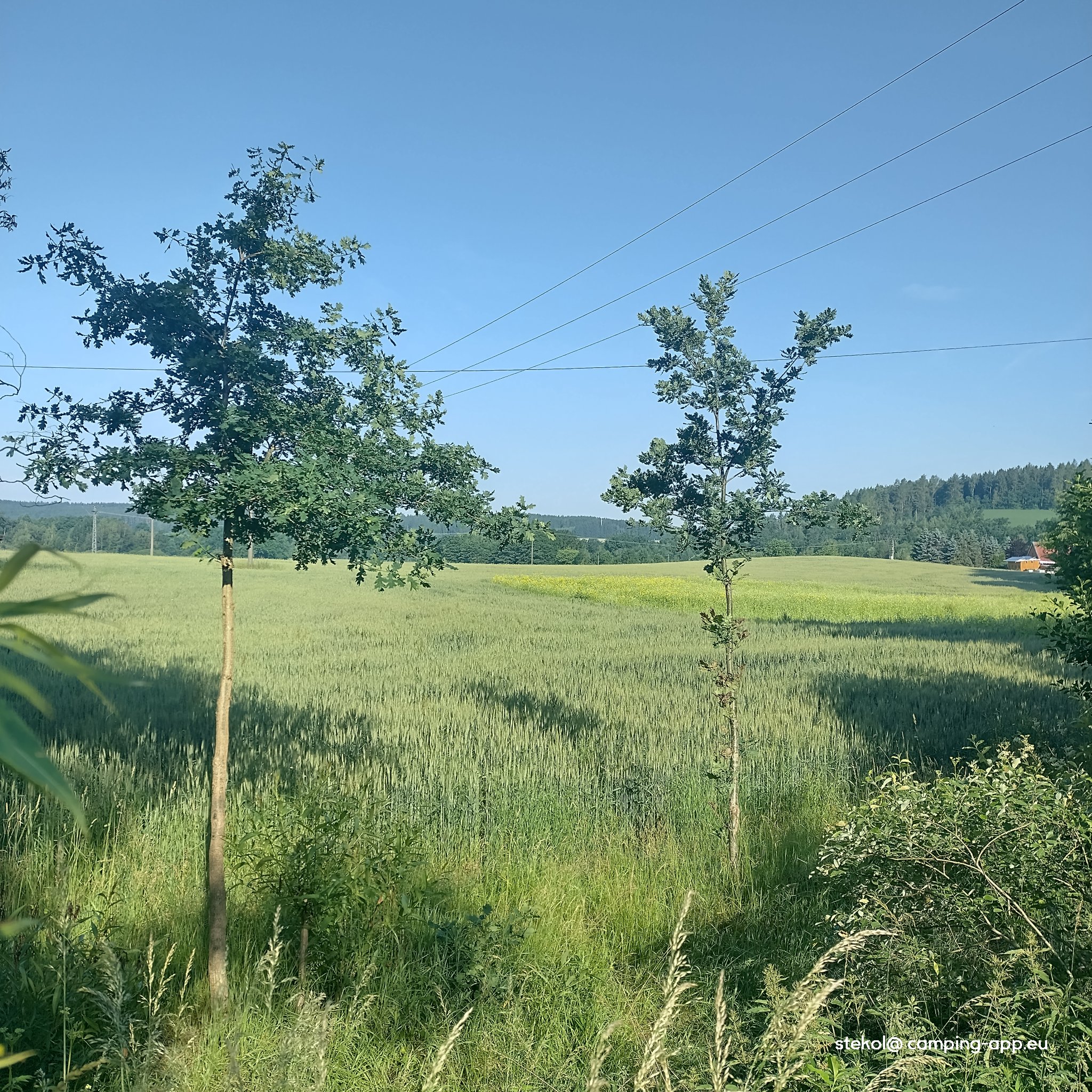 Unterlauterbach — Foto 2