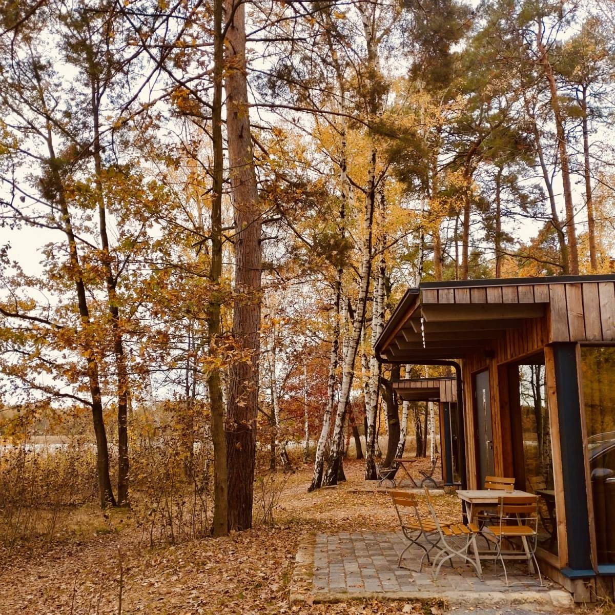 Naturcamping Brettmühlenteich — Campingplatz in Thiendorf