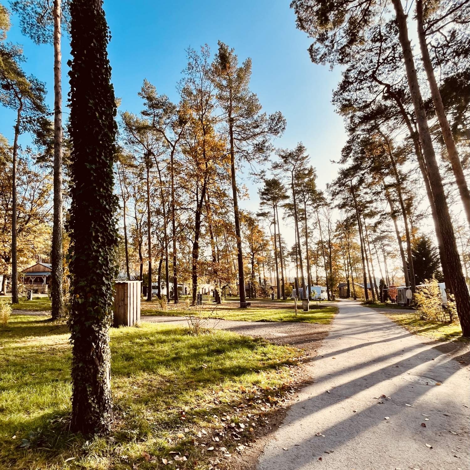 Naturcamping Brettmühlenteich — Kamp yeri in Thiendorf