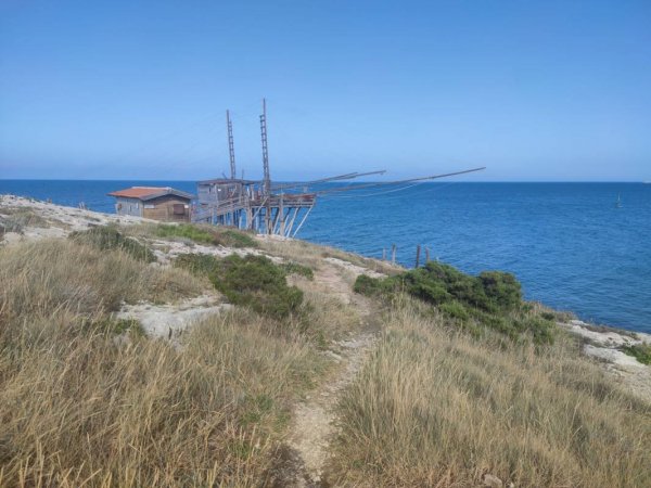 Camping Punta Lunga — Photo 3