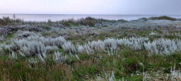 Nature Ferie Mini Camping — Foto 2