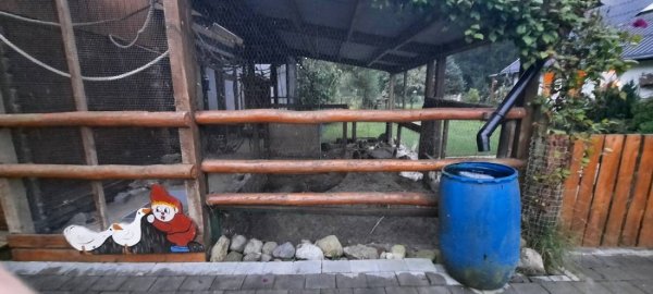 Nature Ferie Mini Camping — Photo 5