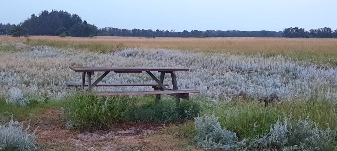 Nature Ferie Mini Camping — QuickStop in Hals