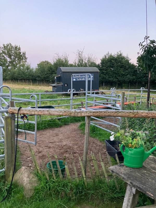 Alpacafarm Kummerfeld — Farm in Kummerfeld