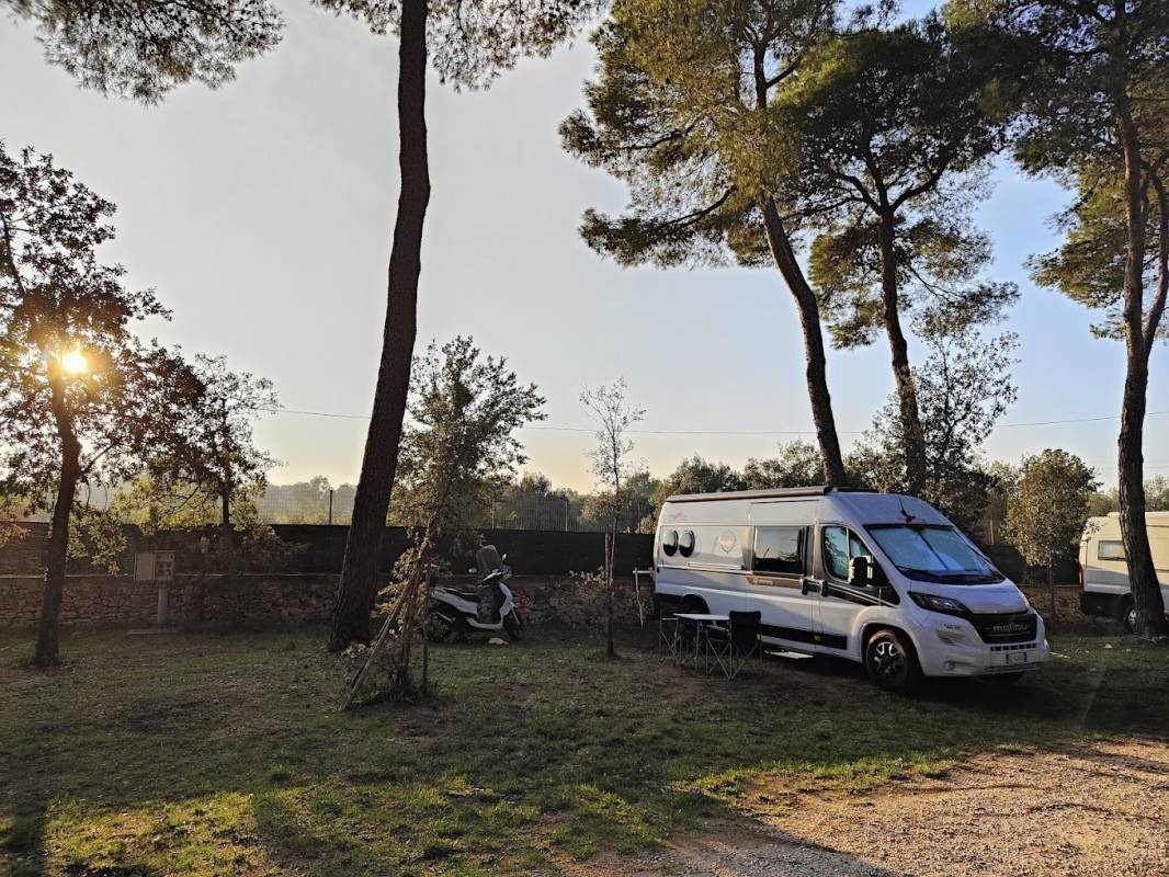 Camping Bosco Selva — Kemp in Alberobello