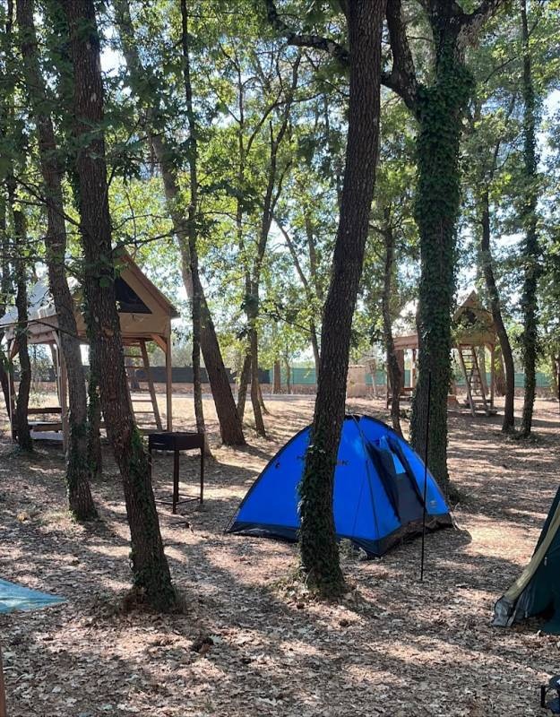 Camping Bosco Selva — Kemping in Alberobello