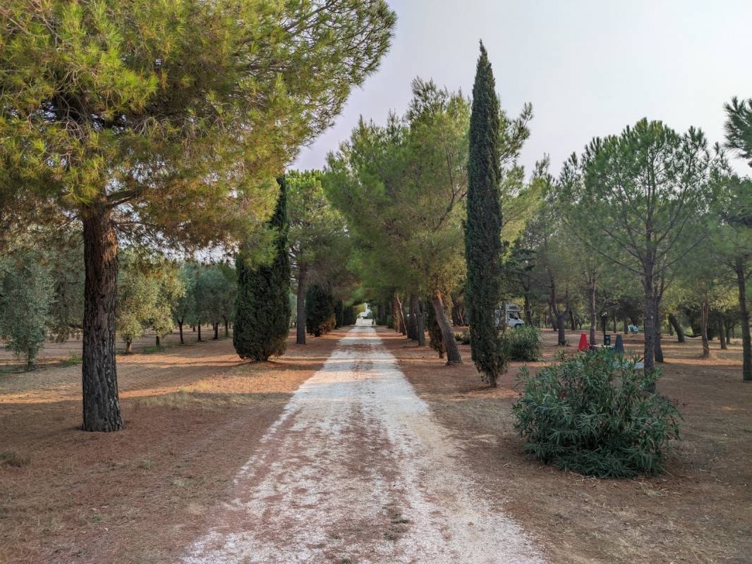 Masseria Appia Traiana — Camping in Ostuni BR