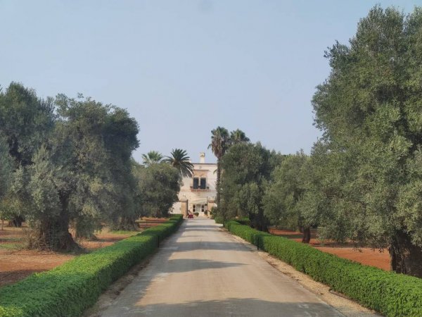 Masseria Appia Traiana — Photo 2