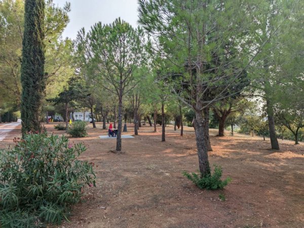 Masseria Appia Traiana — Photo 3