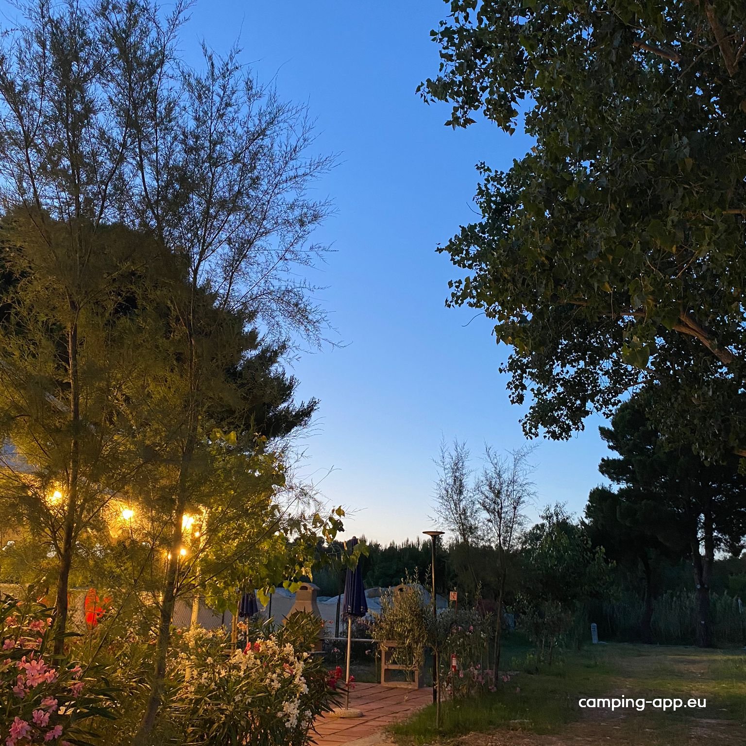 Sosta Camper Zoe — Photo 4