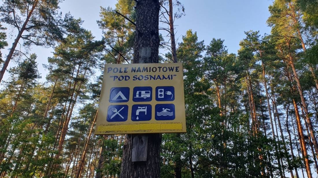Pod Sosnami — Kemping in Stare Jabłonki