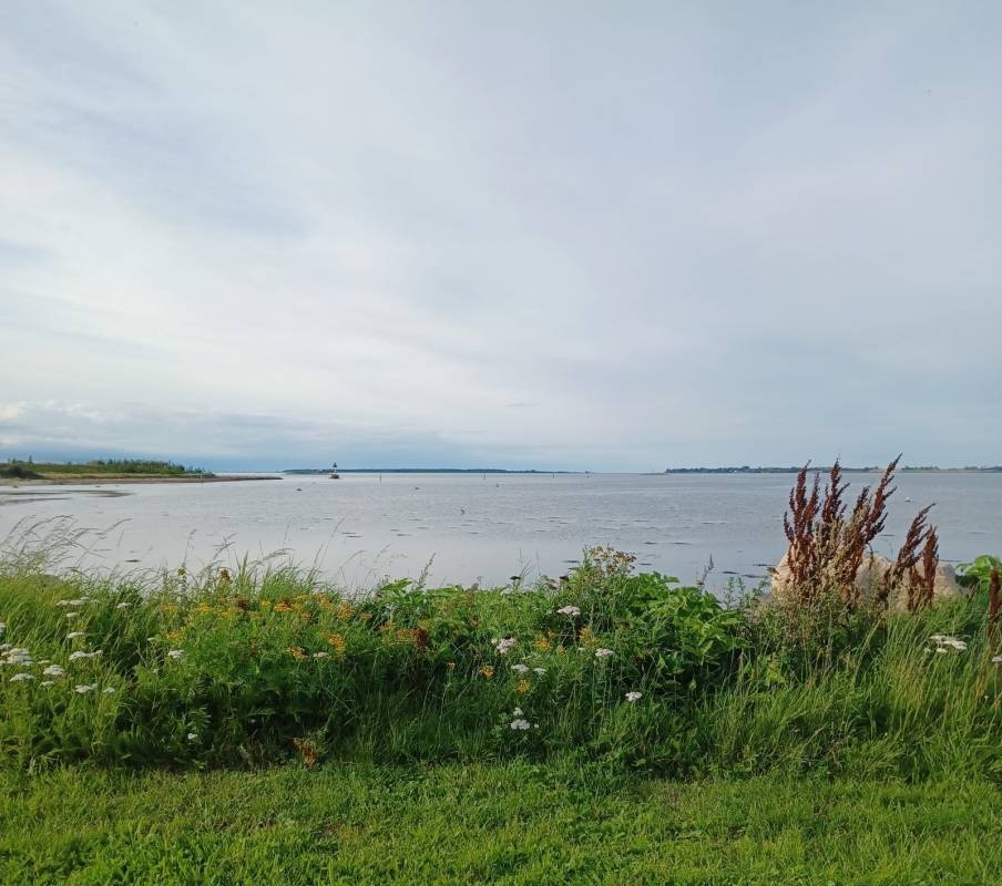 Boels bro — Camperplaats in Munkebo