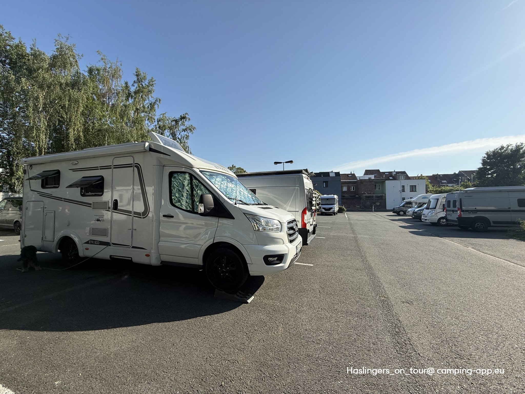Camp in Brussels — Zdjęcie 2