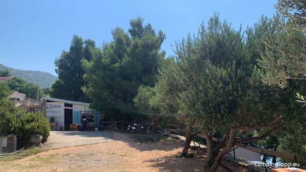 Camp Stine — Foto 2