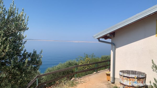 Camp Stine — Foto 4