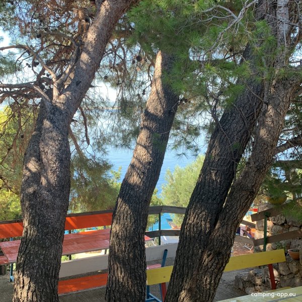 Camp Stine — Photo 3