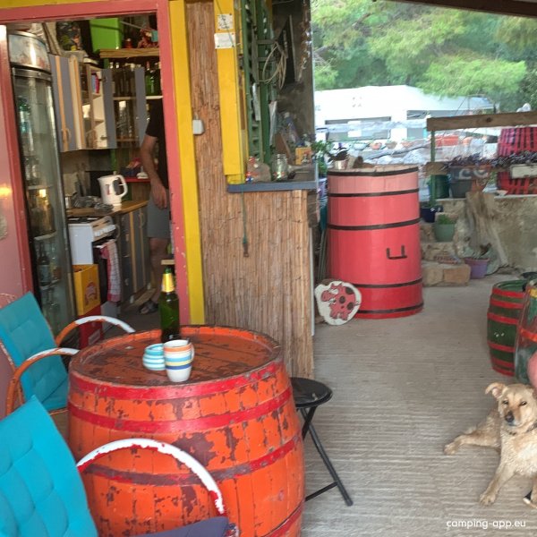 Camp Stine — Photo 6