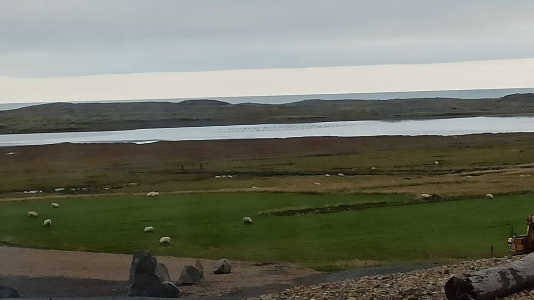 Viking cafe / Vestrahorn Camping — Campingplatz in Höfn