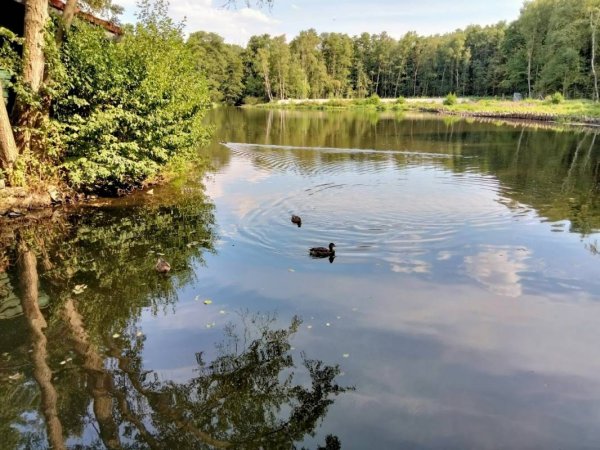 Hariksee Camping Mühlrather Hof — Photo 2