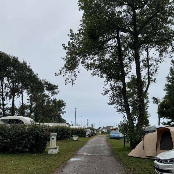 Camping Municipal de Camaret sur Mer — Photo 5