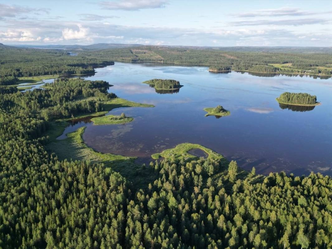 Tiny Living Camping — Cámping in Morjärv