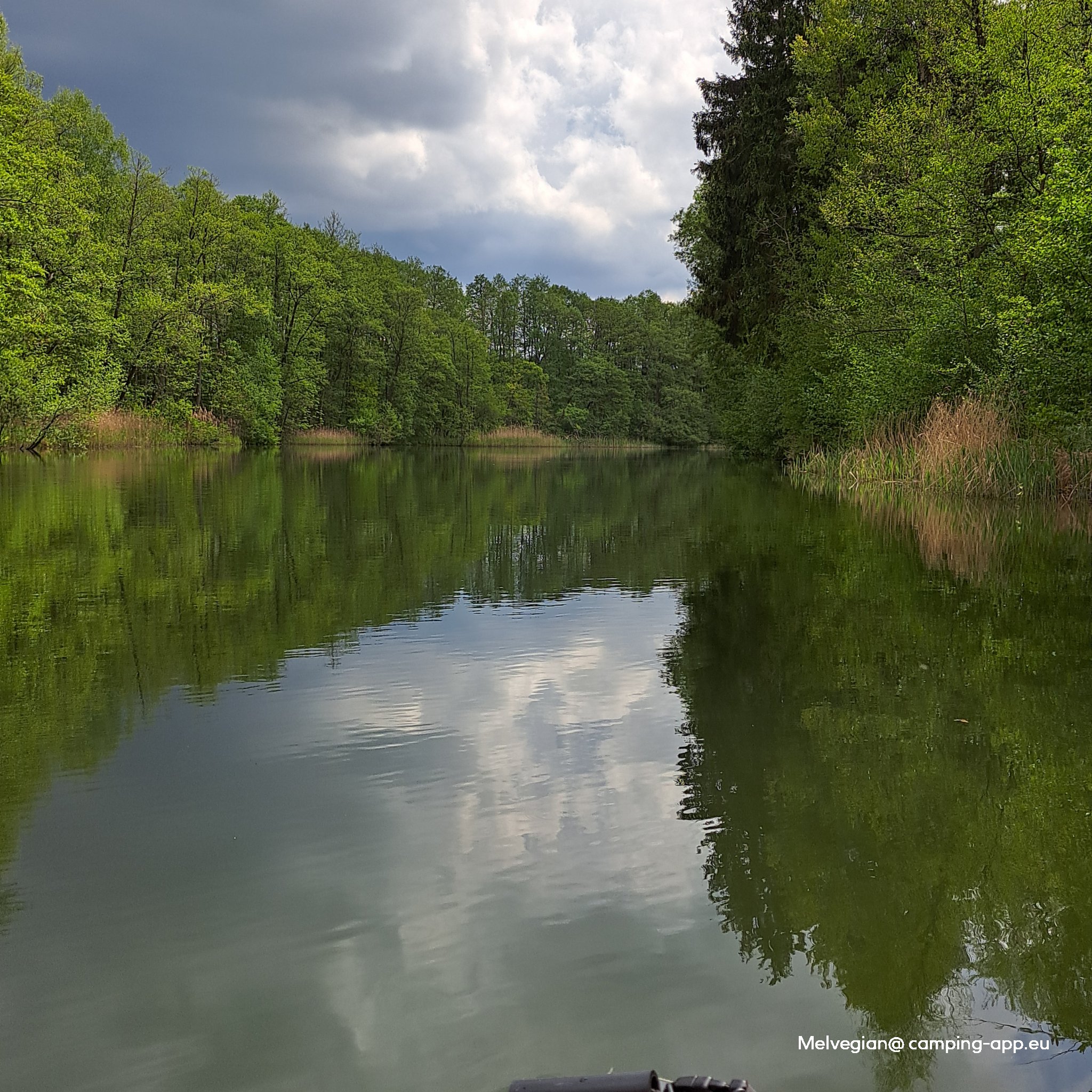 NaturCamping am Ellbogensee — Foto 2