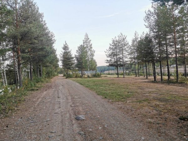 Between water — Photo 3