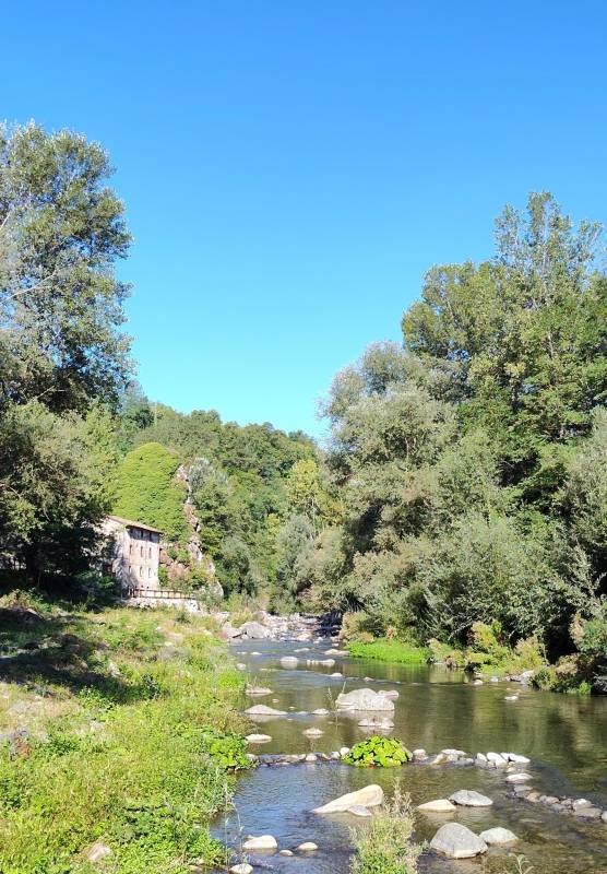 Rancone Lodges — Camping in Camporgiano