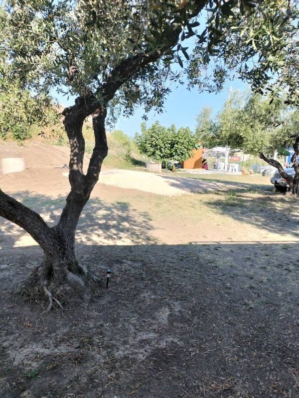 Parcheggio degli ulivi — Campervan Site in Petacciato CB